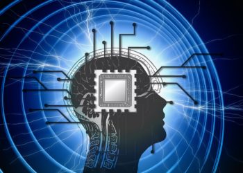 Data Science SEO Data