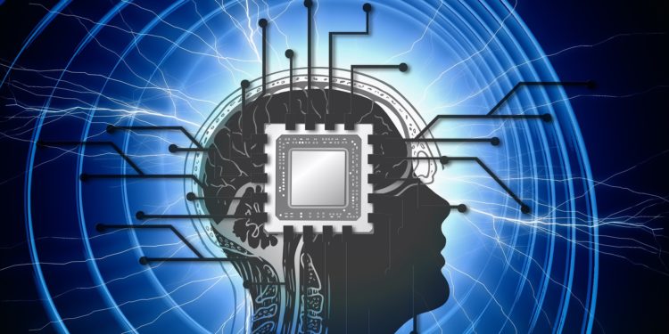 Data Science SEO Data