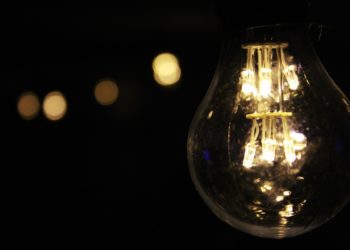 startup business ideas