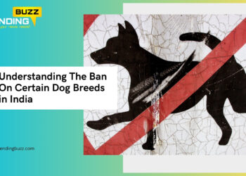 Understanding The Ban On Certain Dog Breeds in India