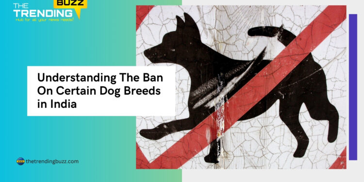 Understanding The Ban On Certain Dog Breeds in India