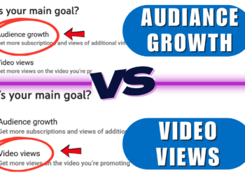 Youtube Ads - Video Views vs Video Growth